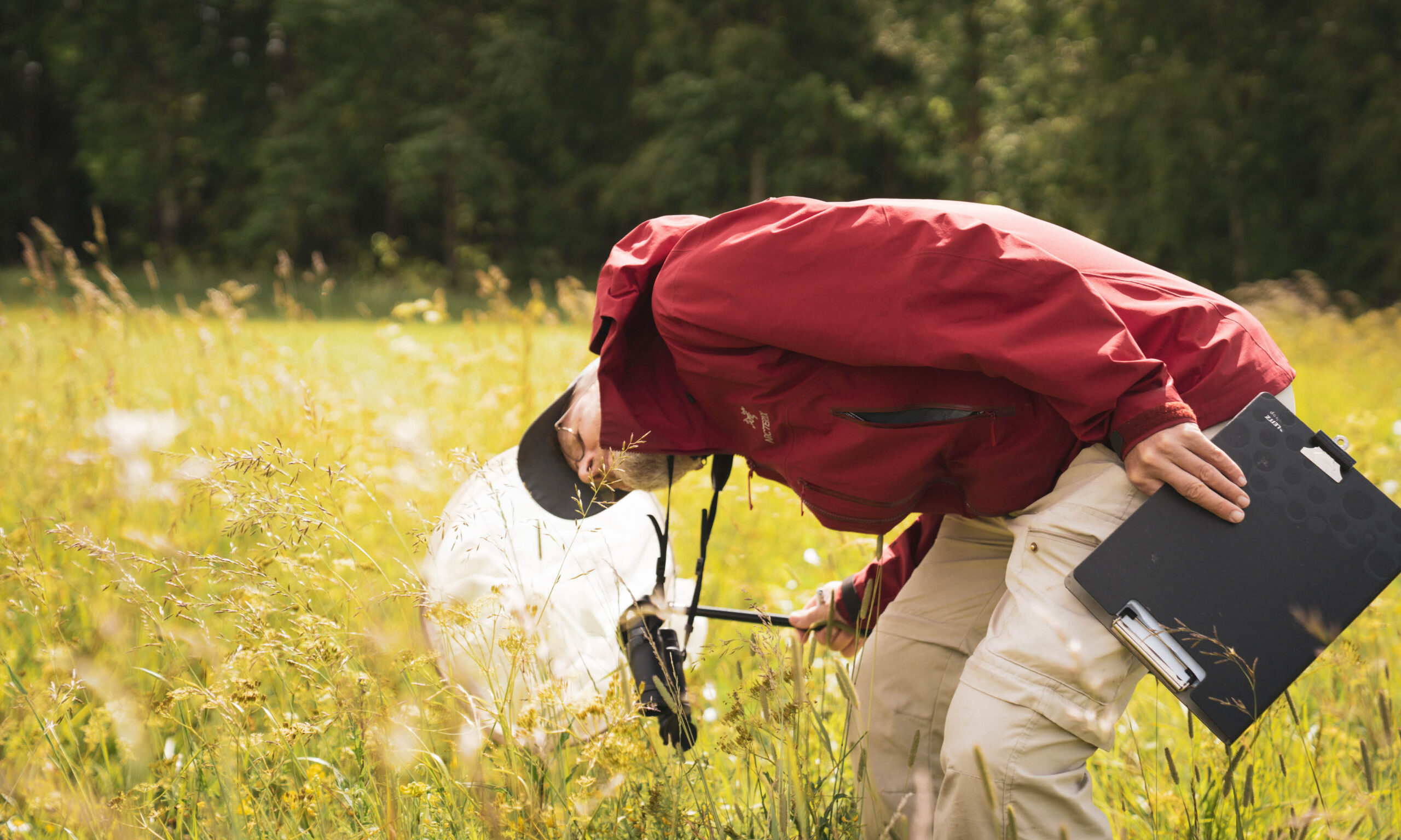 Inventering insekter Olle K, foto J Lanz | Green Valleys