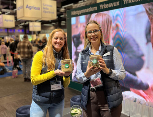 Framtidens hästfoder presenterades på EuroHorse i Göteborg