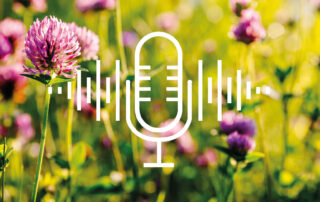 Pod cast: Green Gold: Podcast explores the potential of green biorefining | Green Valleys