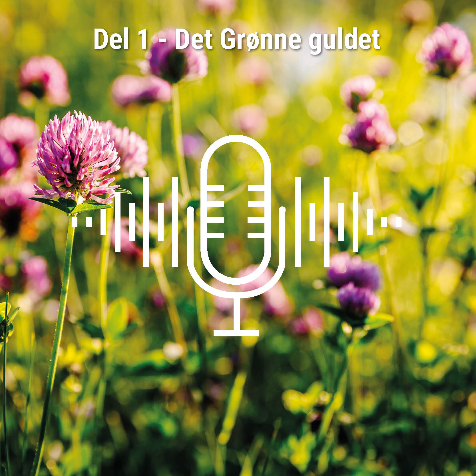 Pod cast: Green Gold: Podcast explores the potential of green biorefining | Green Valleys