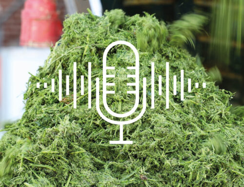 The hunt for the business case: Podcast #2 examines  how grass connects agriculture and the construction industry