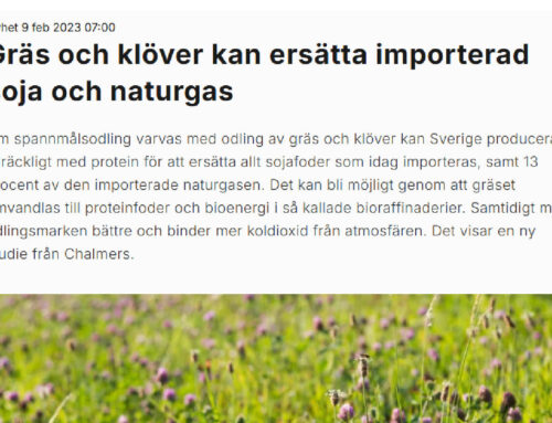 Græs og kløver kan erstatte importeret soja og naturgas – Chalmers