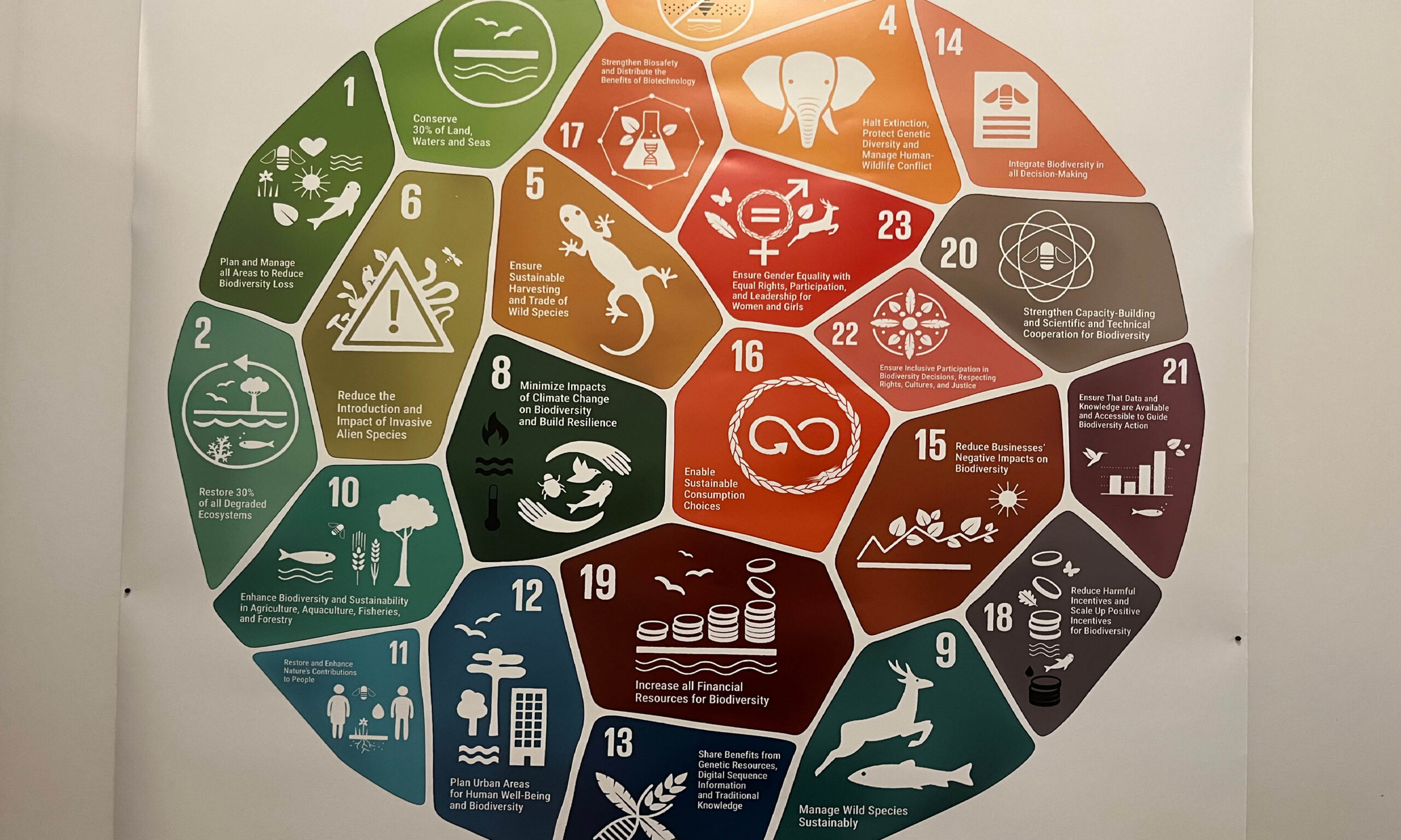 2025-10 Webbinarium Biogas Smedjeveckan - Green Valleys3