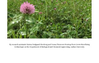 From grass to textile_Green Valleys_EN_Sida_1