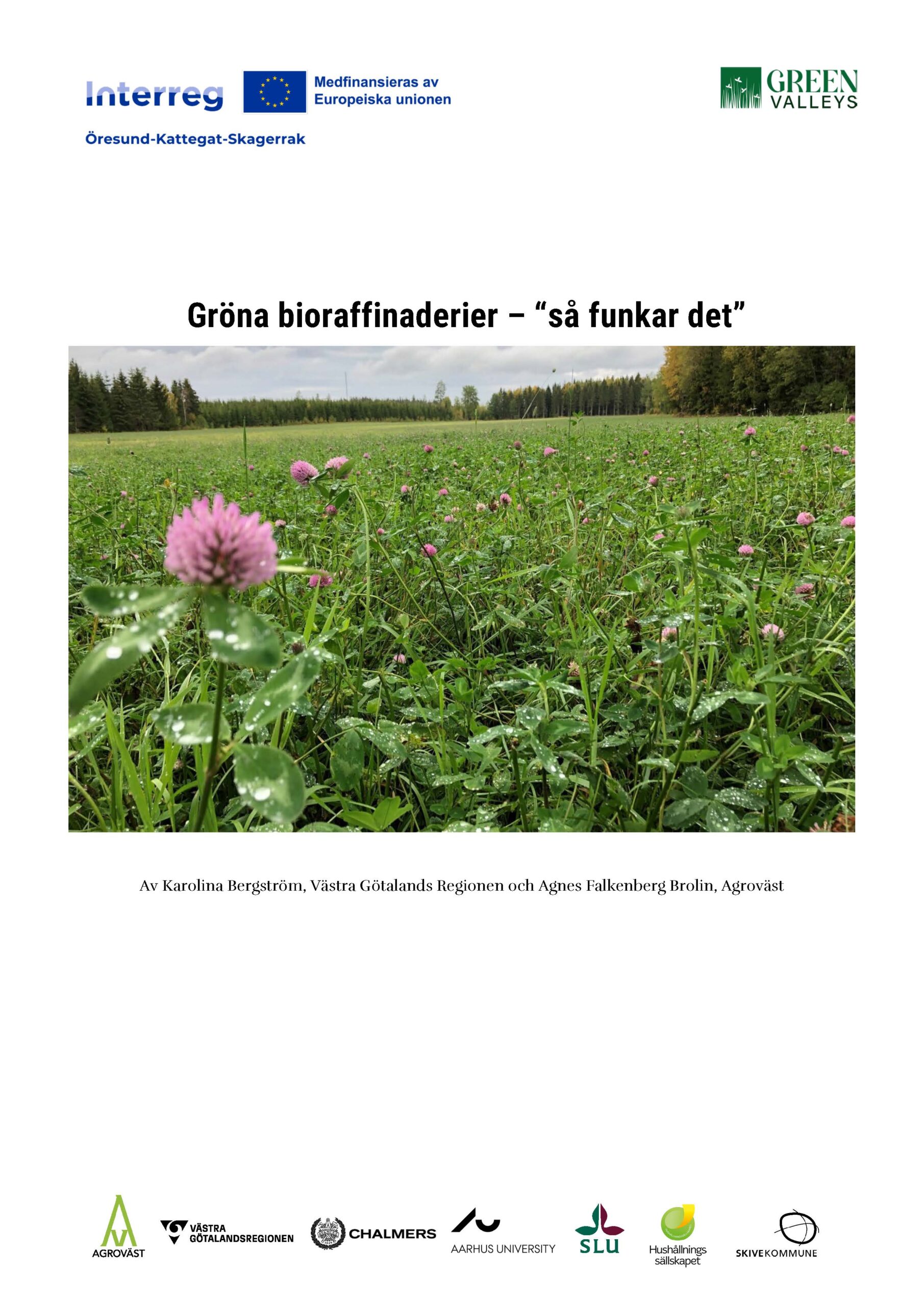 Grøn bioraffinering - sådan fungerer det_Green Valleys_DK