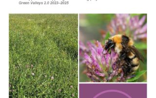 Slutrapport Förlängt skördeintervall på klövervallar - hur påverkar det blomning och blombesökande växter av Calluna | Green Valleys